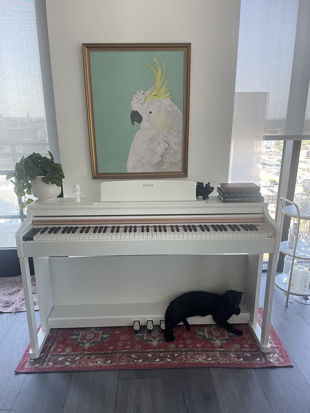 Customer photo review of Donner DDP-100 Piano numérique 88 touches lestées