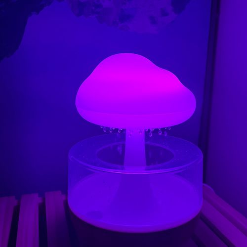 Customer photo review of Rainy Cloud Humidifier