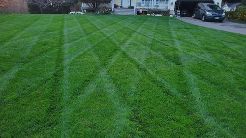 Customer photo review of Protene Performance Fall Fertilizer