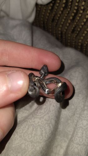 Customer photo review of Snake Ring