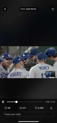 Customer photo review of Dodger Stadium Baseball