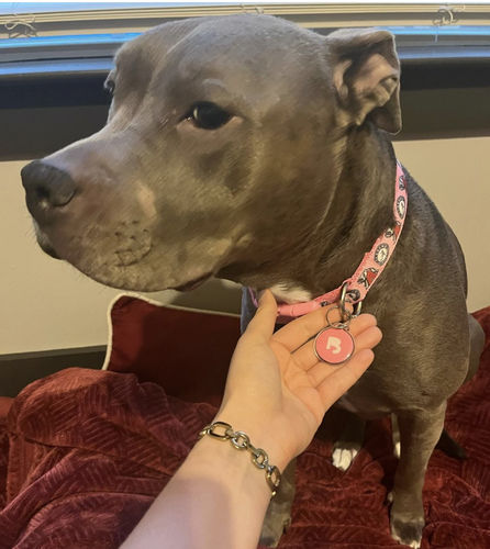 Customer photo review of Pink