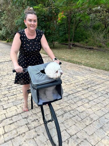 Customer photo review of All In One Pet Carrier Bag | Dog Bike Basket | Backpack for Dogs & Cats | Car Booster Seat