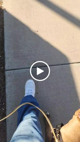 Customer video review of Classic Heavy-Duty Tactical No-Pull Team K9™ Dog Harness With Front & Back D-Rings, Quick-Release Metal-Buckles, Hook & Loop Panels, & Top Handle