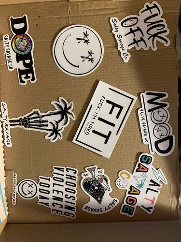 Customer photo review of Salty Savage | PUNK IS NOT DEAD | All Weather Decal Stickers Party Pack | PACK OF 8