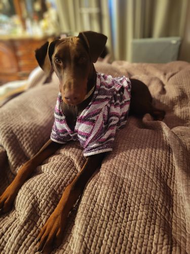 Customer photo review of Playa Poncho - Surprise Color