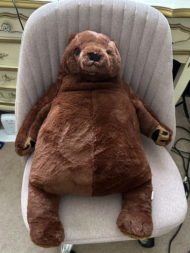 Customer photo review of SKOGGY BEAR