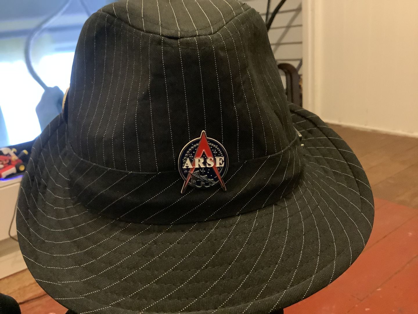 Customer photo review of ARSE Pins