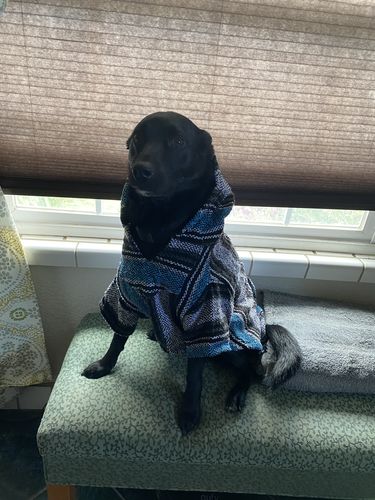 Customer photo review of Playa Poncho - Surprise Color