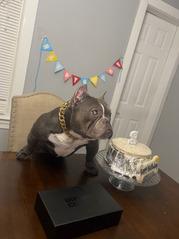 Customer photo review of THE CUBAN