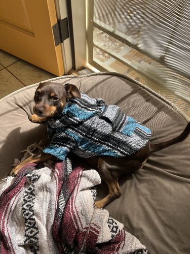 Customer photo review of Playa Poncho - Surprise Color