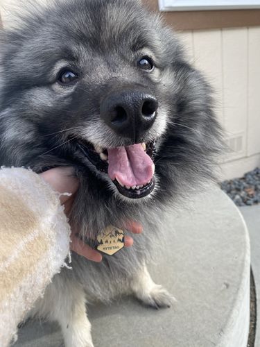 Customer photo review of Mountain Silicone