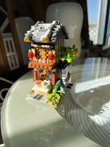 Customer photo review of Mini Ancient China Town