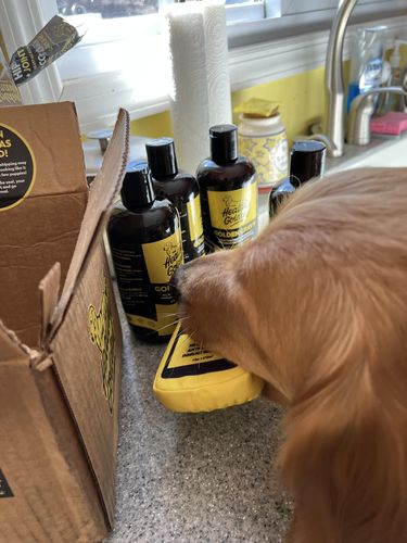 Customer photo review of Golden Gravy
