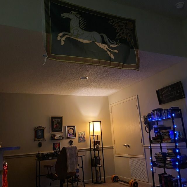 Customer photo review of LOTR Rohan Horse Flag