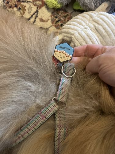 Customer photo review of Beach Silicone