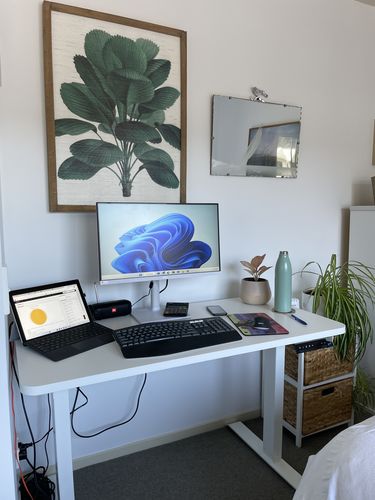 Customer photo review of Evo Electric Standing Height Adjustable  Desk(Free Shipping Nationwide)
