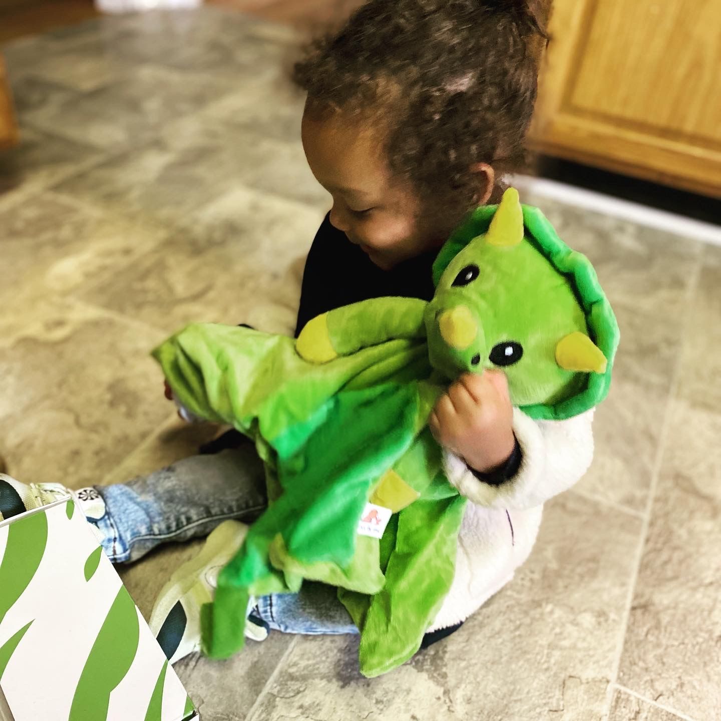 Customer photo review of Dash the Dinosaur