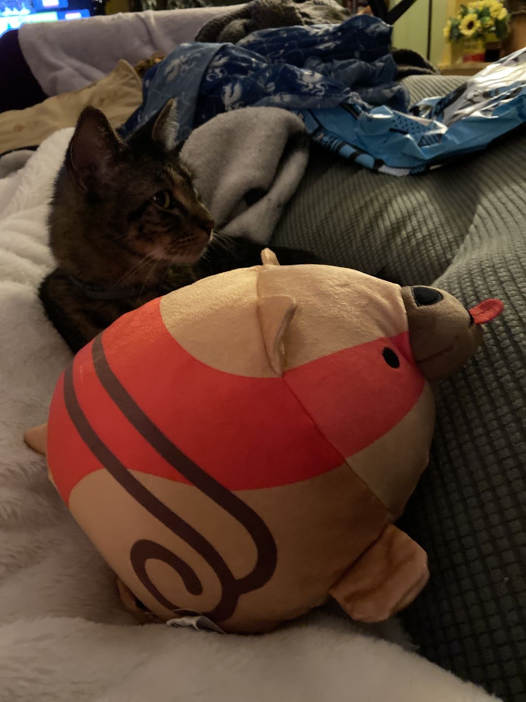 Customer photo review of Dragon Age - Mabari Pillow Plush