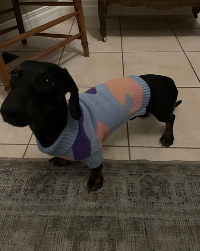 Customer photo review of Groovy sweater