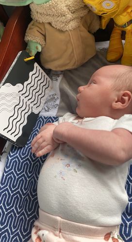 Customer photo review of Curious Baby Cards (Digital e-Book, 2023)