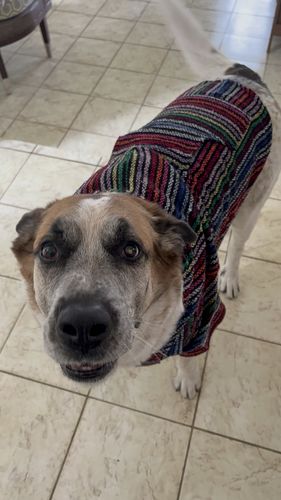 Customer photo review of Playa Poncho - Surprise Color