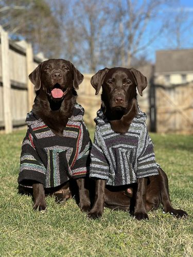 Customer photo review of Playa Poncho - Surprise Color