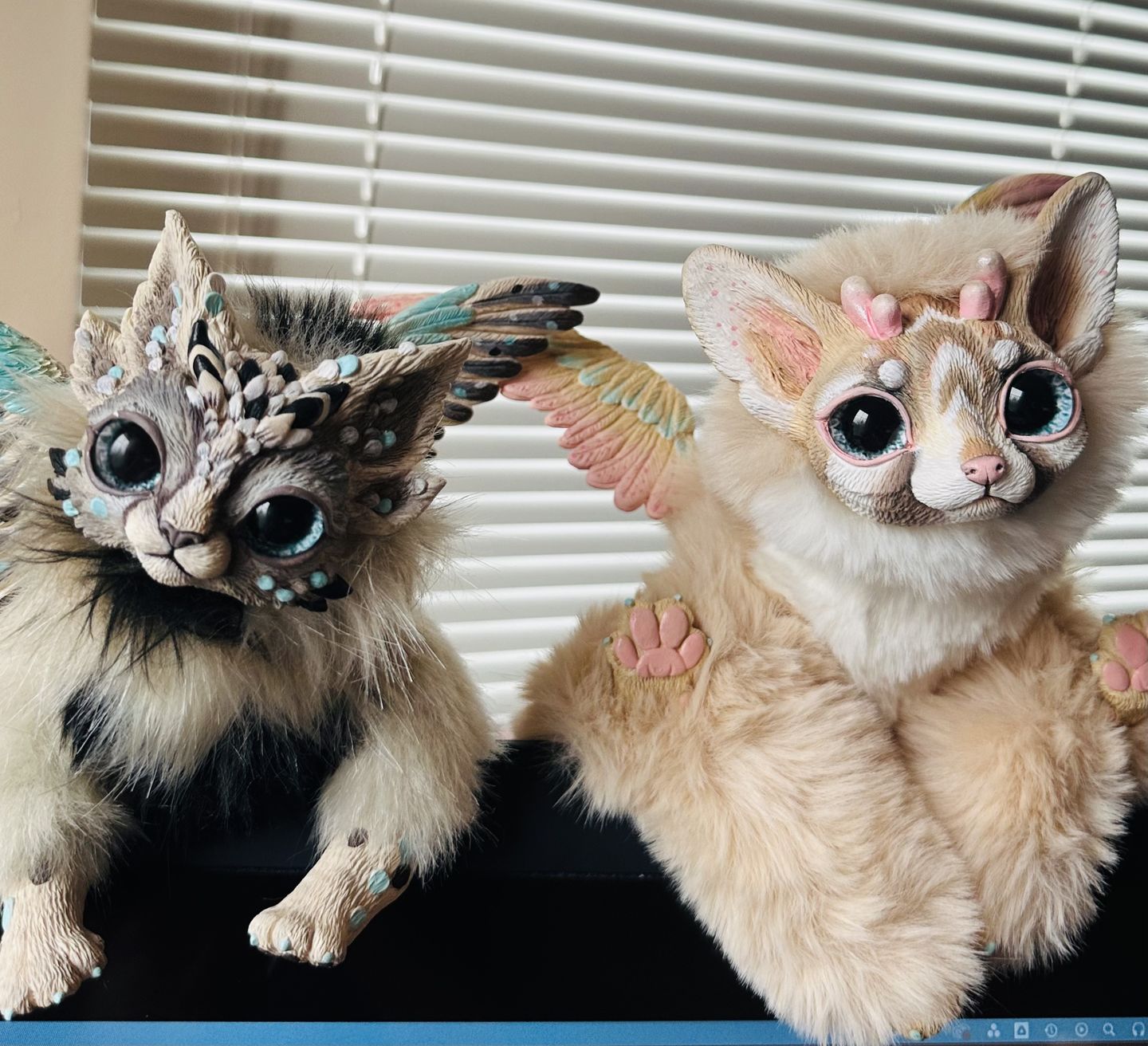 Customer photo review of Ring-tailed cat