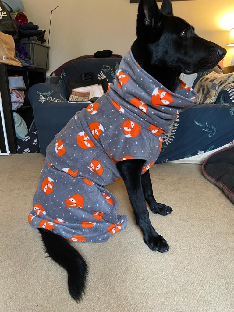 Customer photo review of Sleeping Foxes Anti Pill Polar Fleece Fabric