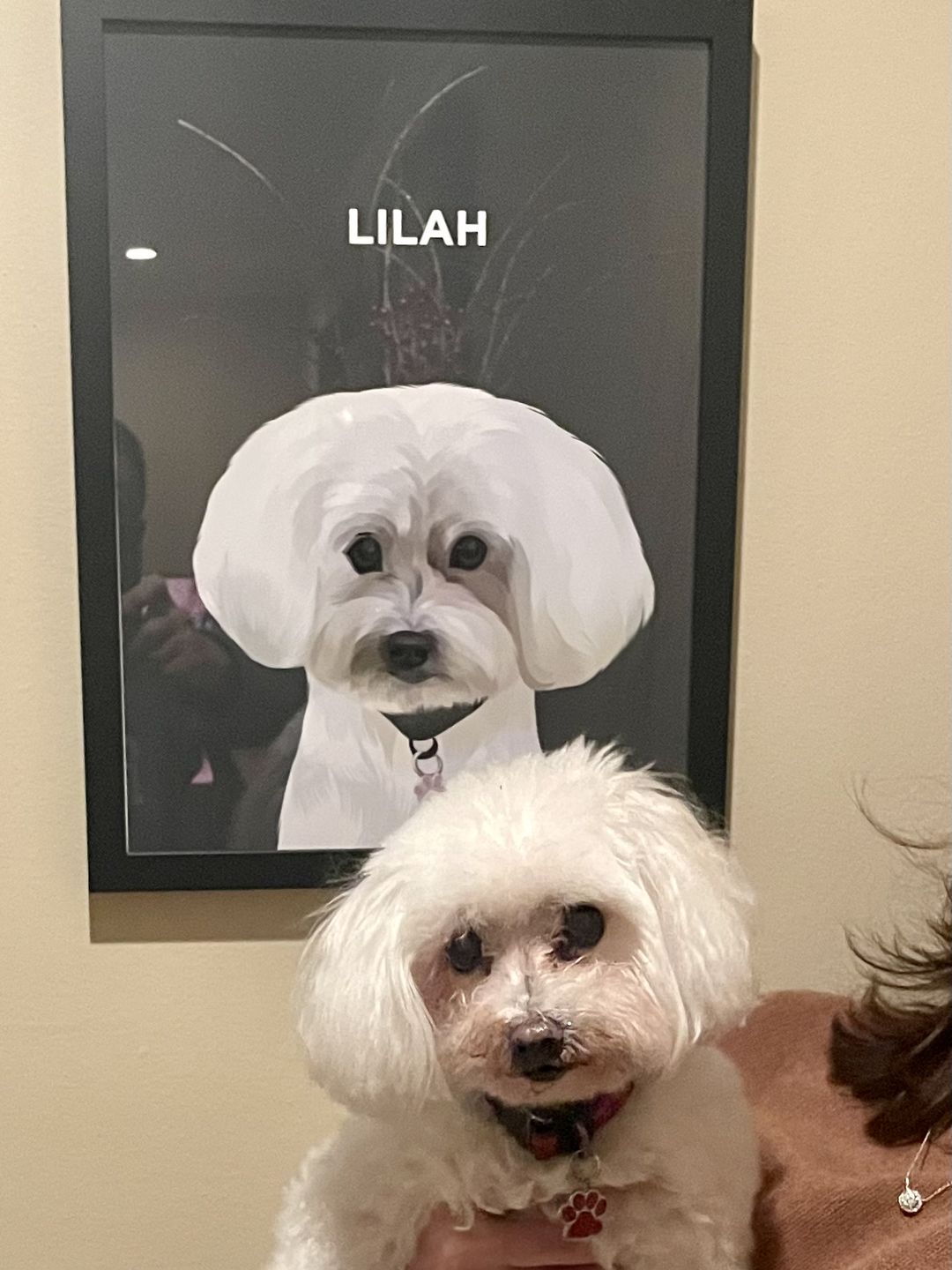 Customer photo review of Custom Pet Portrait (Framed)
