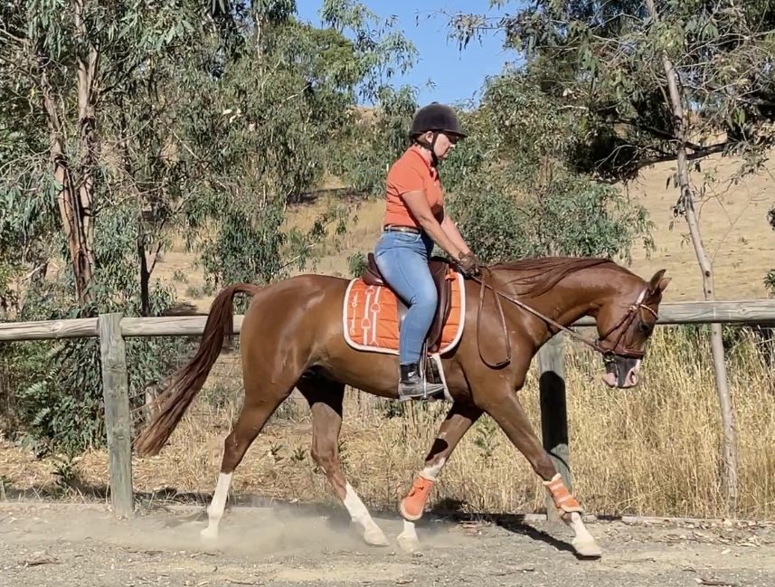 Customer photo review of PSOS Demi Cap, Ginger