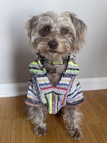 Customer photo review of Playa Poncho - Surprise Color