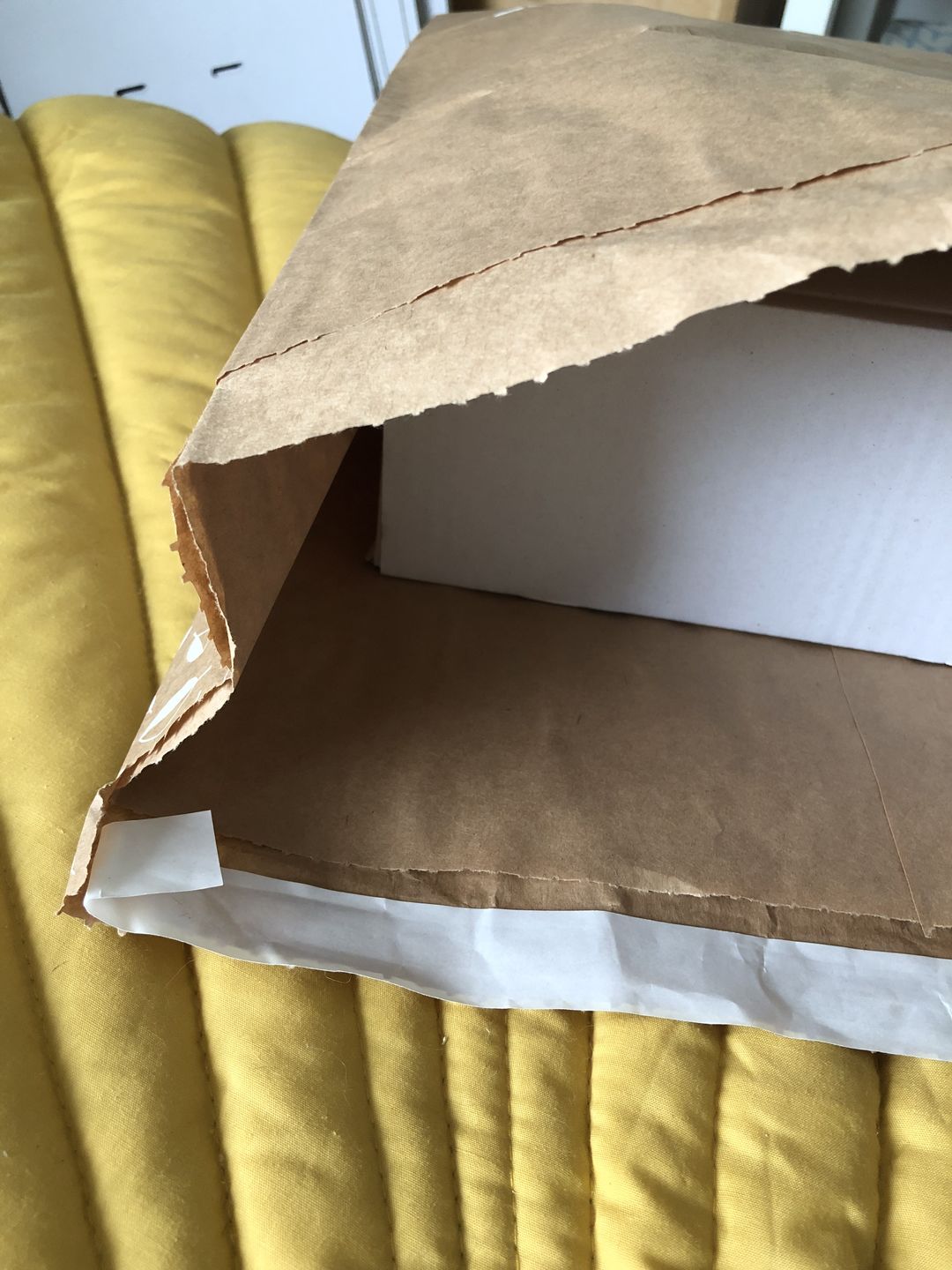 Customer photo review of Extra Large Paper Mailing Sack