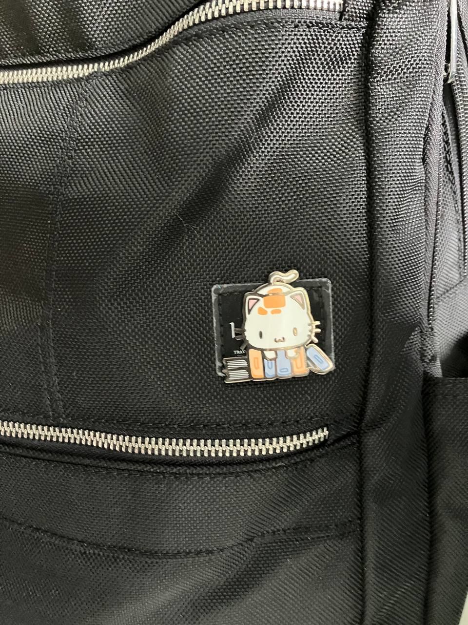 Customer photo review of Let's Read Pin