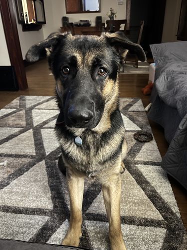 Customer photo review of Explorer