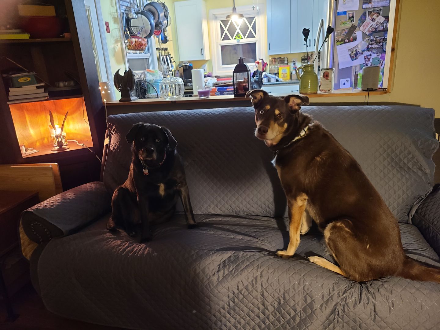 Customer photo review of NEW Machine-Washable, Dryer-Safe Furniture Protector Couch Cover With Side Pockets & Back Straps (+2-In-1 Reversible Colors!)