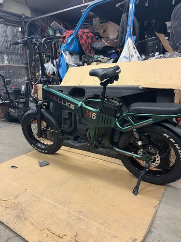 Customer photo review of Wallke H6 Dual Battery Folding Electric Bike - Canada Only