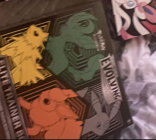 Customer photo review of Pokémon TCG: Sword & Shield Evolving Skies Elite Trainer Box