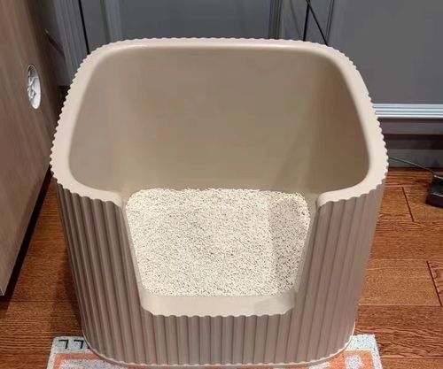 Customer photo review of Michu XXL Container Cat Litter Box with Scoop, Coral and BoBa