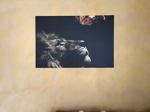 Customer photo review of Leinwandbild Löwe mit brennendem Schmetterling Querformat