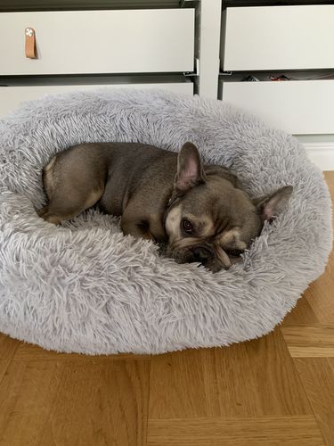 Customer photo review of CalmBed - Motverkar stress & hjälper mot ångest