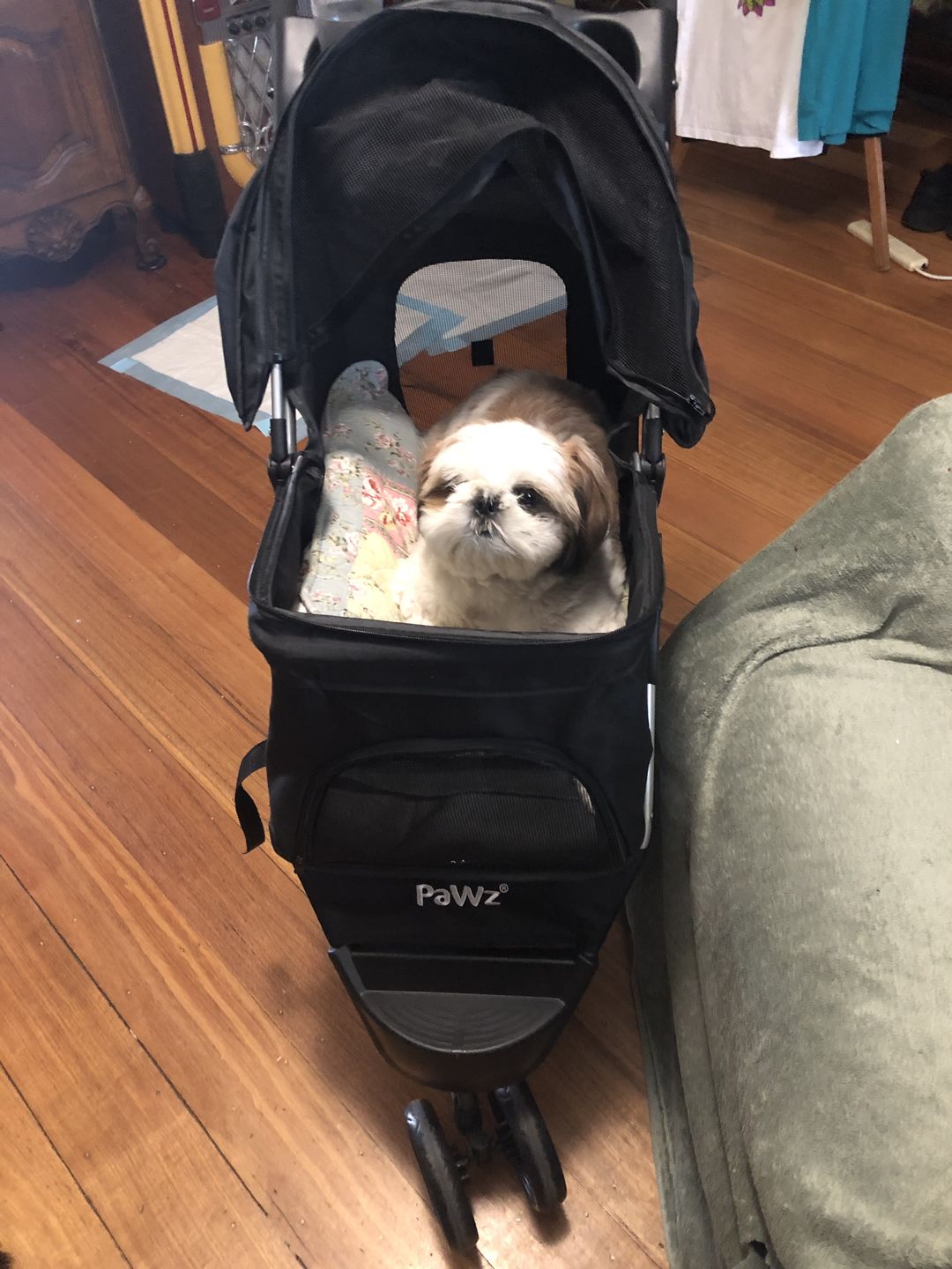 Customer photo review of PaWz Large Pet Stroller Dog Cat Carrier