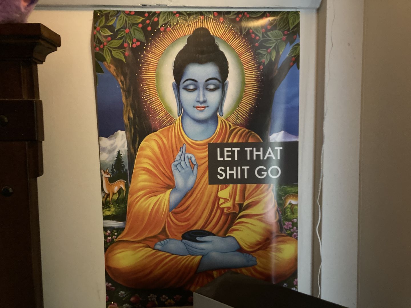 Customer photo review of Let That Shit Go Buddha Poster