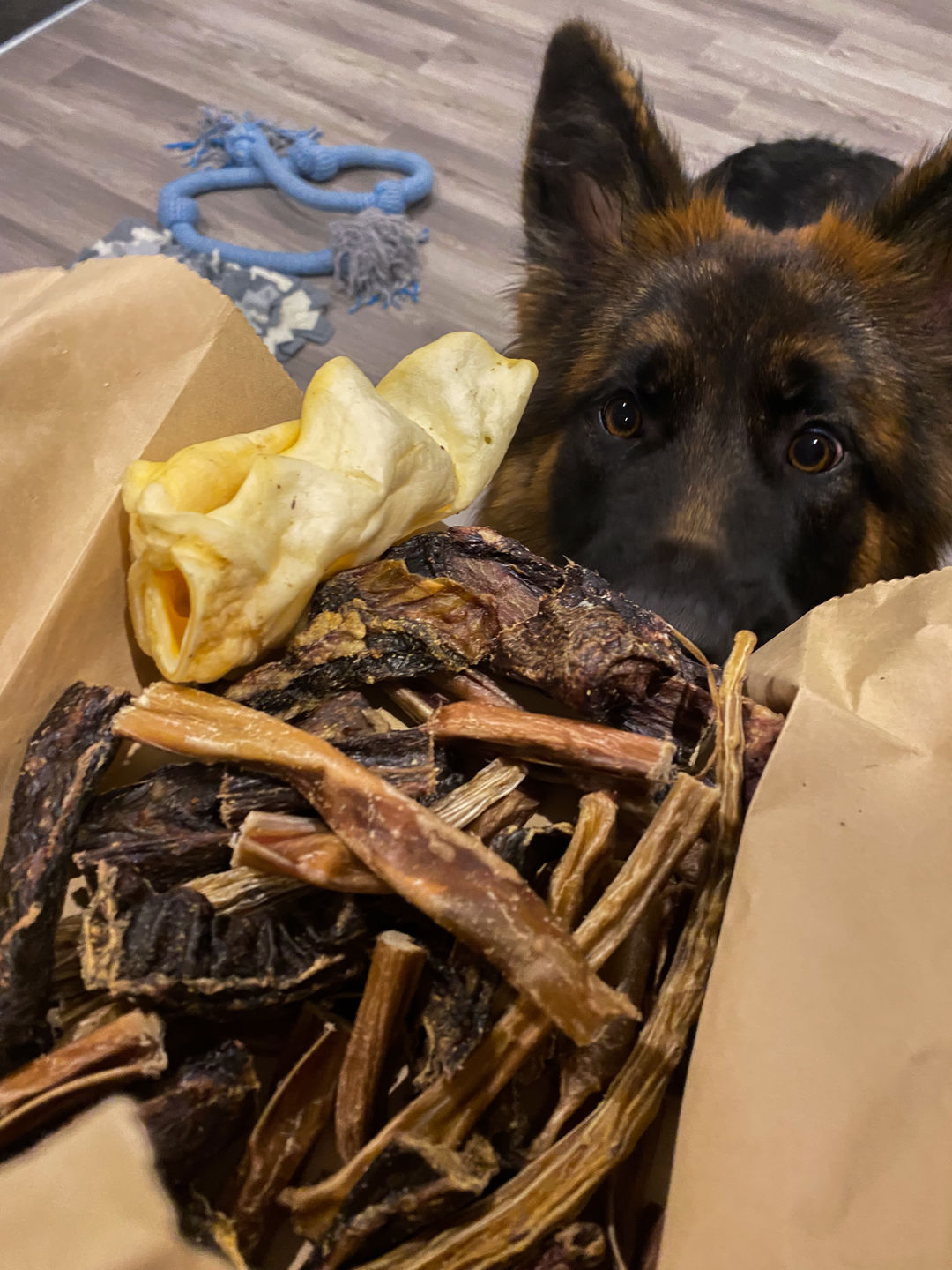 Customer photo review of Mystery Treat Bags