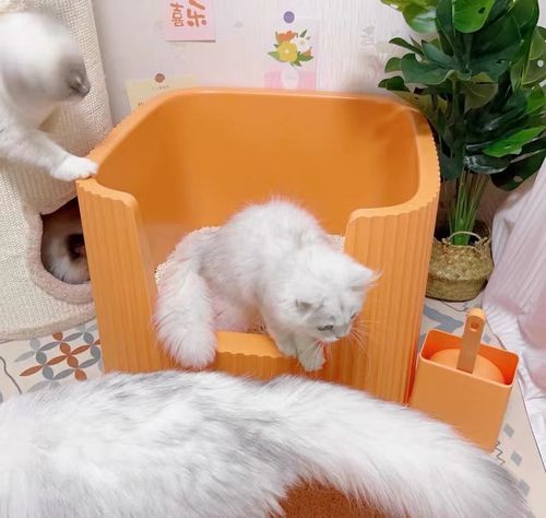 Customer photo review of Michu XXL Container Cat Litter Box with Scoop, Coral and BoBa