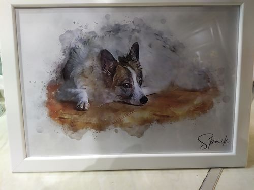 Customer photo review of Πορτραίτο Κατοικίδιου - Νερομπογιά