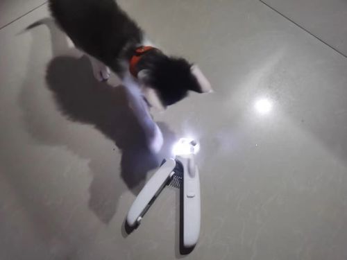 Customer photo review of Michu Cat/Dog Hygiene LED Light Nail Clipper 2.0 Version