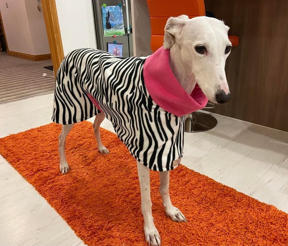 Customer photo review of Zebra Anti Pill Polar Fleece Fabric