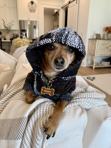 Customer photo review of Playa Poncho - Surprise Color