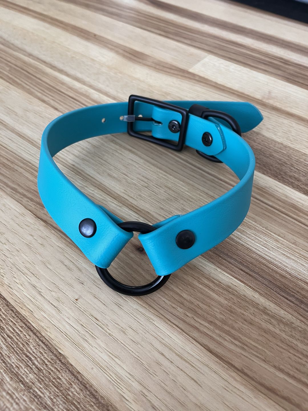 Customer photo review of Denali Center Ring Collar